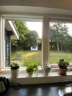 Sommerhus Med Stor Have Nær Heather Hill - Vejby - 6