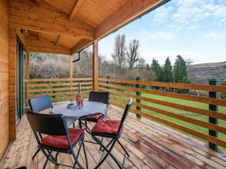 Dôl Werdd Lodge - 6