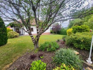 Ferienhaus Am Sonnenhang - 8