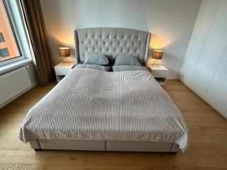 Luxury Free Parking stylish apartment - 8