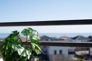 Berolina Träumchen - 1