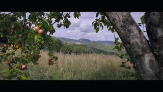 Villa Amrita Janani-Yoga e lifestyle tra Gubbio e Assisi - 5