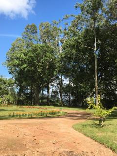 Mirhawatta Estate Mirahawatte - 2