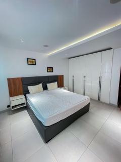 Tastefully Furnished 4 Bedroom Duplex in Lekki Phase 1 - 5