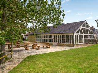 Lily Pad 4 - Uk43910 - 1