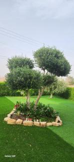 שקט בערבה - 8