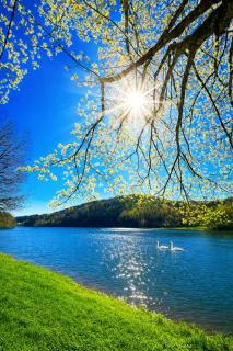 Ferienhaus EIFELZEIT am See - 7