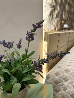 Alojamiento Turístico Mirador del Castillo - 5