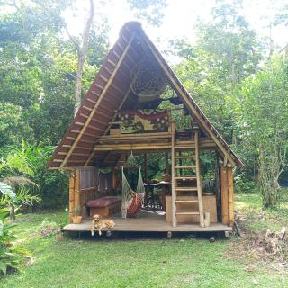 Cabaña Bugambilla - 0