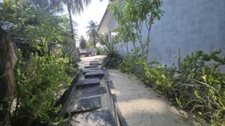 L'île de Marie-Jo - 6