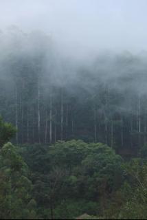 Thendral Resort - 5 Bedroom Villa with Private Pool & Party Hall - 5