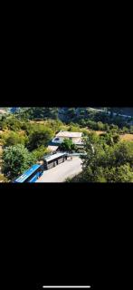 Bar Caffè Antoni - 2