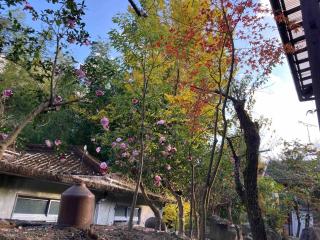 田舎の宿 か家 ひかり邸 - 1