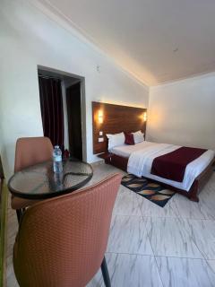 Vine Hotel, Mityana - 4