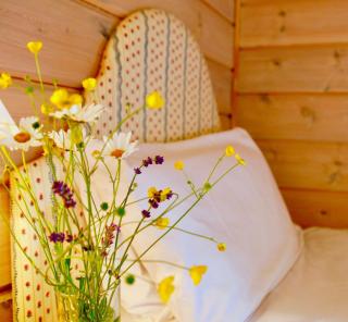 Curlew Lodge - 8