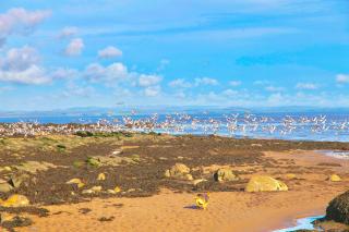 Curlew Lodge - 1