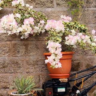 Hotel suites Las Abuelas - 6