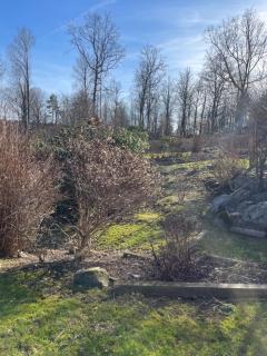 Guesthouse Holmen - 7