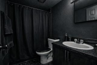 Goth minimalist home - 4