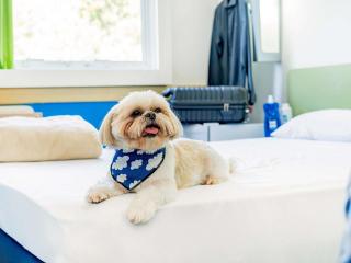 Ibis Budget Bilbao Arrigorriaga - 6