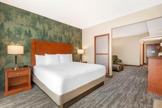 Drury Plaza Hotel Colorado Springs Near the Air Force Academy - 6