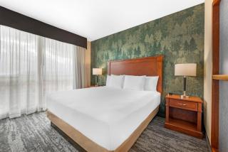 Drury Plaza Hotel Colorado Springs Near the Air Force Academy - 5