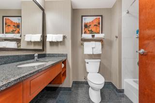 Drury Plaza Hotel Colorado Springs Near the Air Force Academy - 3