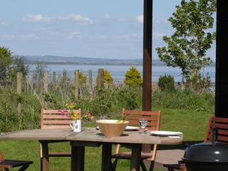 Lapwing Lodge - 9