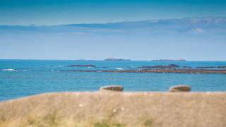 Borth Mawr - 5