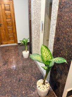 Elite Homes Stay - 9