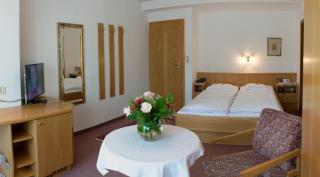 Hotel Helga - Seefeld in Tirol - 7