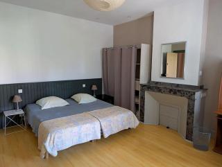 Gite le Foch, large gite in Albi, ideal for Families - 4