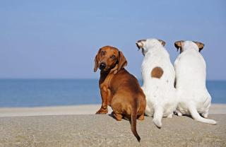 Testing property creation - 4