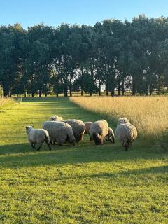 Rancho Vitel - Country House-Loft - 3