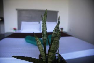 Sunset Mountain Ella - 5