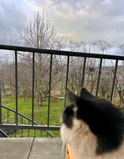 Dez Guest House with Mountain View - 8