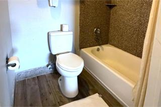 Regency Inn Three Rivers I-37 - 1