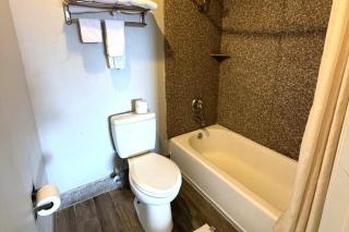 Regency Inn Three Rivers I-37 - 3