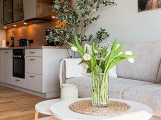 Ferienwohnung Sonnenufer am Dümmer See - 8