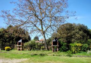 APARTAMENTOS MARIAJE - Barro de Llanes - 6