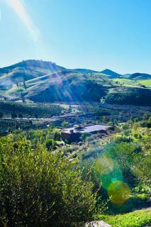 Guest farm Oulad Chmicha - 6