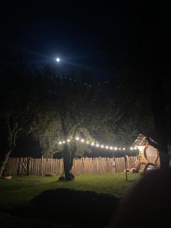 Beche guest House - 1