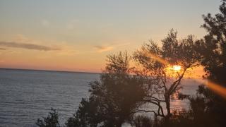 Oceanfront Oasis - 5