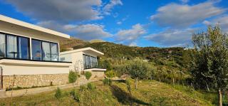 Oceanfront Oasis - 6