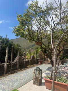 Nonna Maria B&B Home restaurant - 8