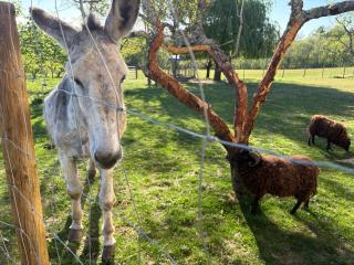 Les vergers d'Anjoy - 1