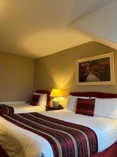 Viking House Hotel Donegal - 8