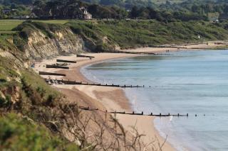 137 Brambles Chine - 5