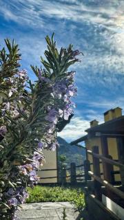 Chalet in Pietra nel Parco Naturale Val Grande - 9