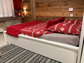 House St-George Studio Alpine with terrace and view on village - 9